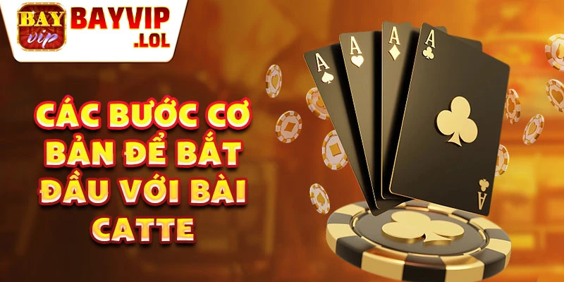 Các bước cơ bản để bắt đầu với bài catte
